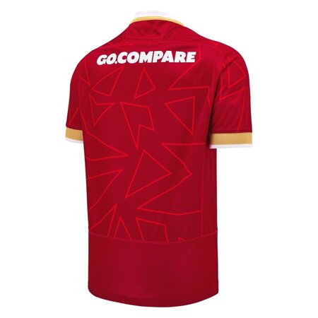 WELSH RUGBY 2024/25 HOME PATHAWAY REPLICA SHIRT