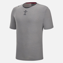 WELSH RUGBY 2022/23 GREY LEISURE TEE